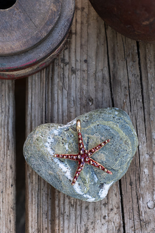Enameled Stella Di Mare Pendant - M
